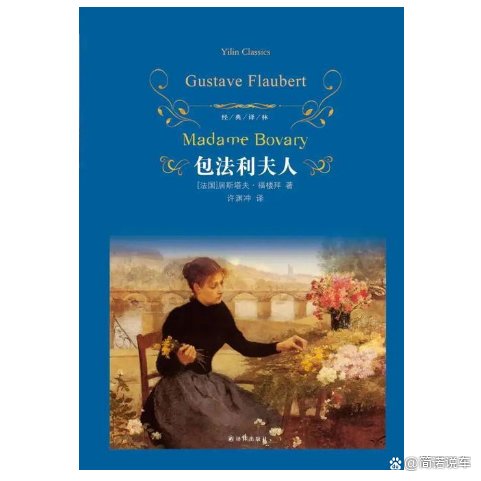 名著《包法利夫人》中刻画了很多人物，如何分析书中爱玛的人物形象？