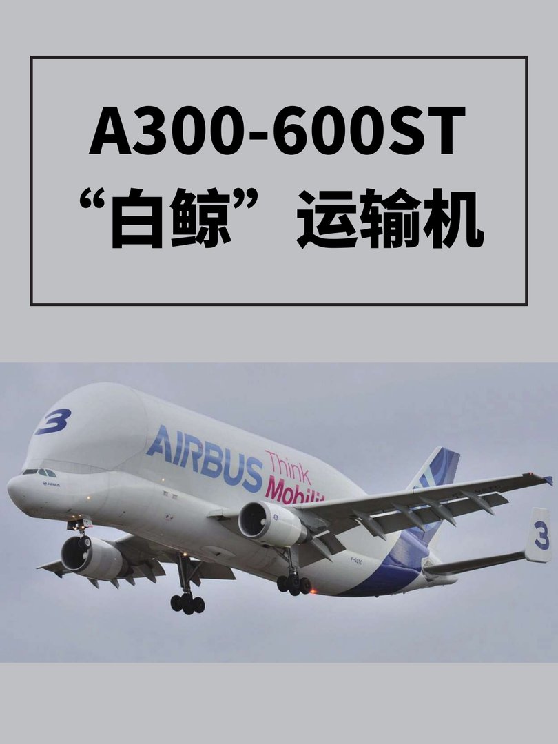 A300-600ST“白鲸”运输机