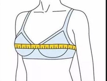 胸围C80算大吗？