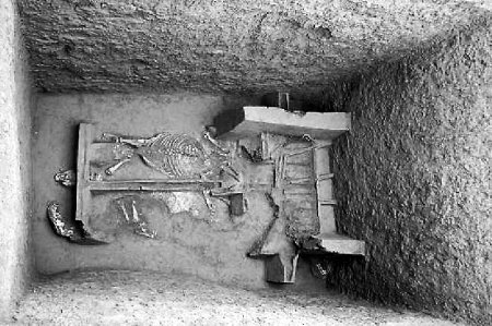 秦公六号大墓的介绍