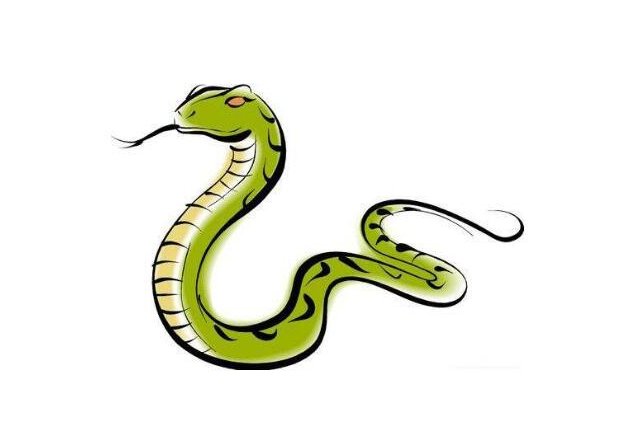 一三全四中本期指的是蛇吗