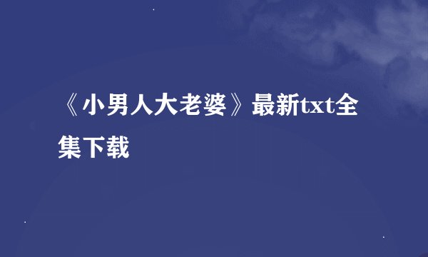 《小男人大老婆》最新txt全集下载