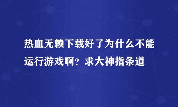 热血无赖下载好了为什么不能运行游戏啊？求大神指条道