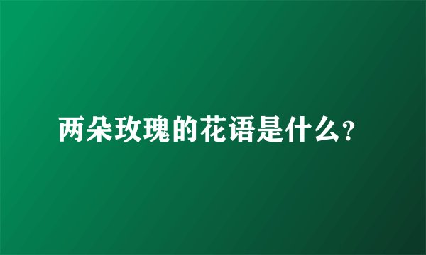 两朵玫瑰的花语是什么？
