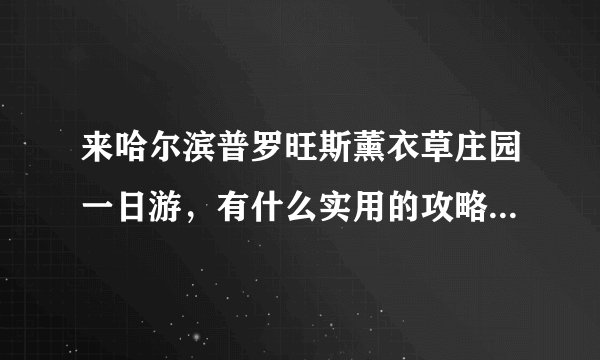 来哈尔滨普罗旺斯薰衣草庄园一日游，有什么实用的攻略值得参考？