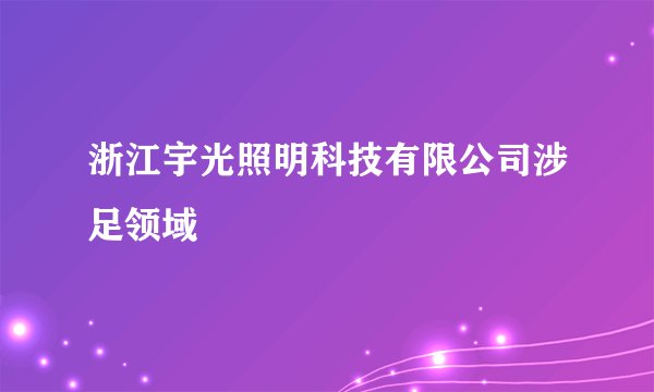 浙江宇光照明科技有限公司涉足领域