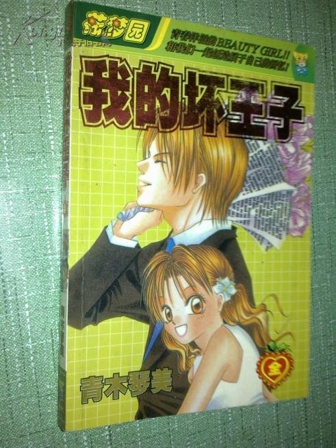 我的坏王子的介绍