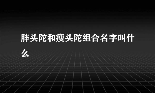 胖头陀和瘦头陀组合名字叫什么