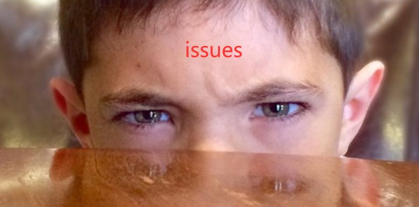 issues是什么意思