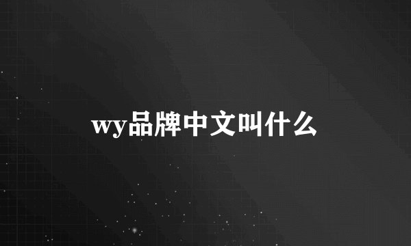 wy品牌中文叫什么