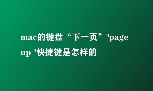 mac的键盘“下一页”