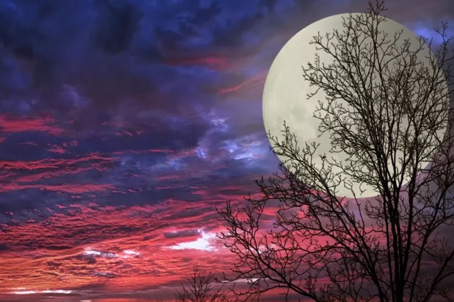 又是一年月圆时上一句