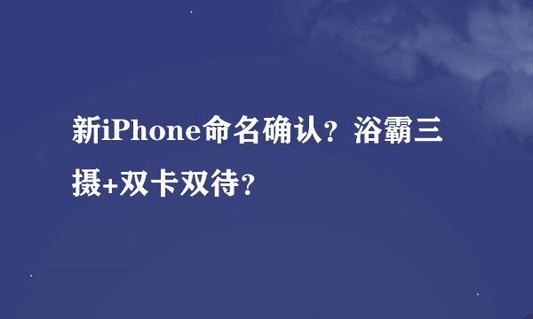 新iPhone命名确认？浴霸三摄+双卡双待？