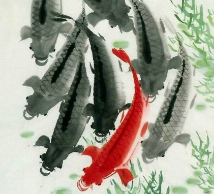 好深啊撞的好吗鲤鱼乡