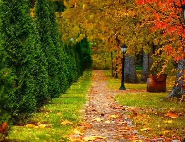 秋天的四字成语有哪些