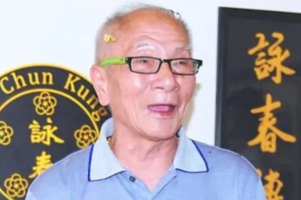 叶问有几个儿子啊？