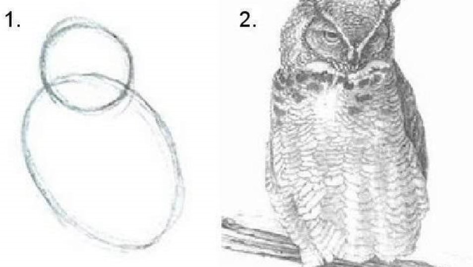 乐可本可公交车怎么画