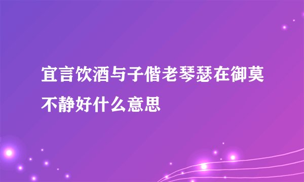 宜言饮酒与子偕老琴瑟在御莫不静好什么意思
