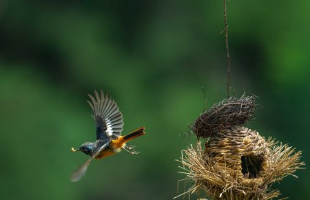 灵动是什么意思