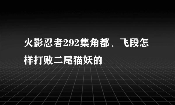 火影忍者292集角都、飞段怎样打败二尾猫妖的