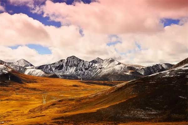 asl是什么的缩写啊？