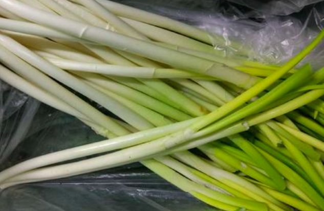 与韭黄、蒜黄一样，大葱能培育出葱黄吗？