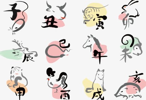 凹凸不平打一正确生肖