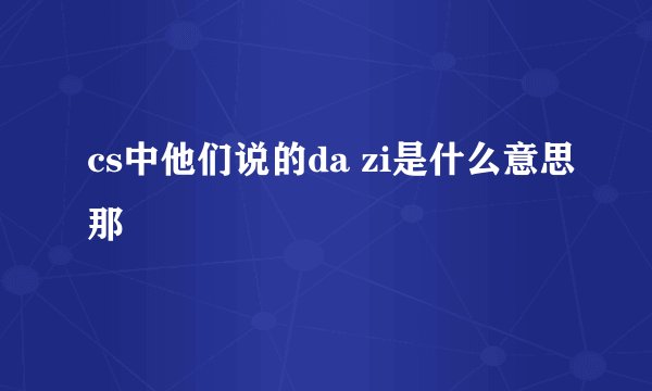 cs中他们说的da zi是什么意思那