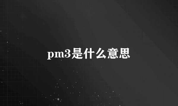pm3是什么意思