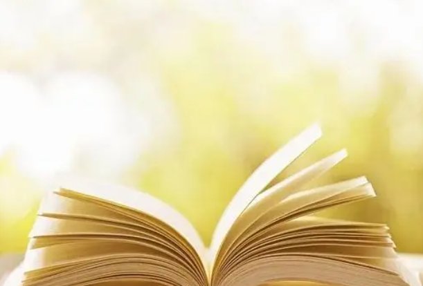 天生丽质近义词