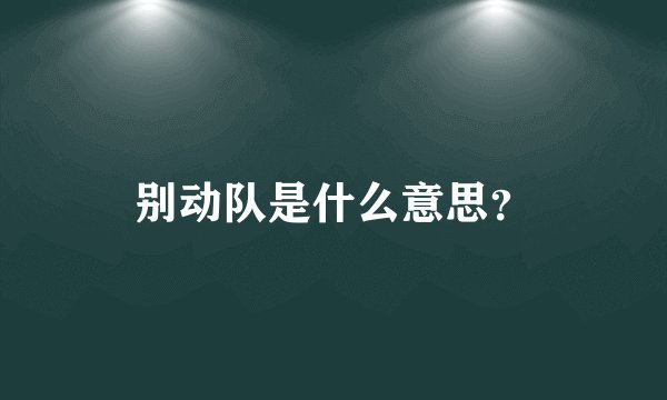 别动队是什么意思？