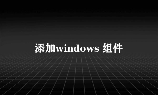 添加windows 组件