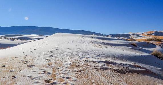 骆驼在撒哈拉沙漠雪中漫步，沙漠下雪有多罕见？