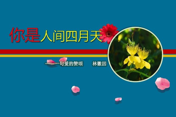 最美人间四月天全诗段句