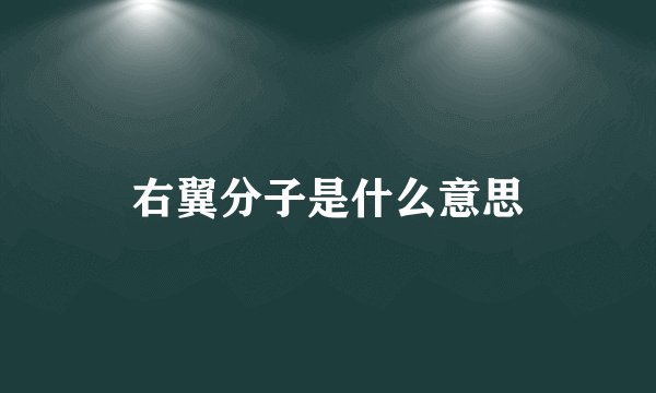 右翼分子是什么意思
