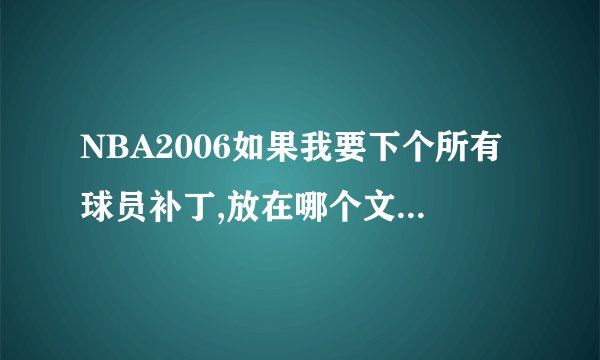 NBA2006如果我要下个所有球员补丁,放在哪个文件里面?