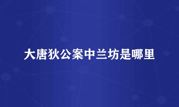 大唐狄公案中兰坊是哪里