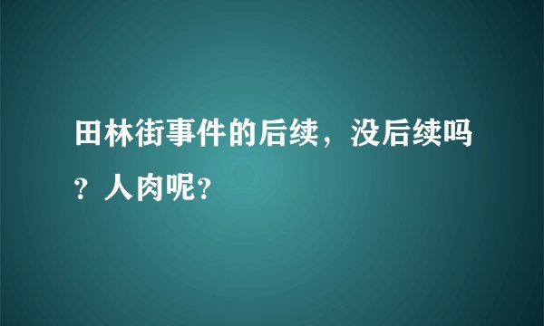 田林街事件的后续，没后续吗？人肉呢？