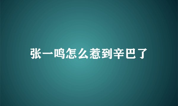 张一鸣怎么惹到辛巴了