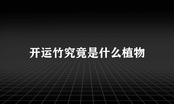 开运竹究竟是什么植物