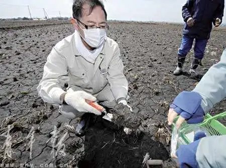 日本计划用核污染土铺路种菜，日本为什么会有这样的计划？