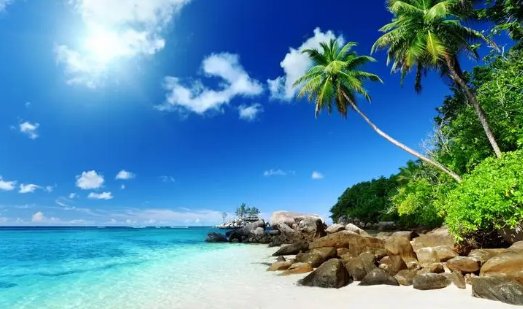 立夏看夏意思是