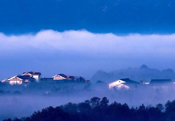 江西省高招办电话2023