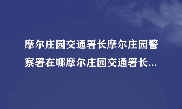 摩尔庄园交通署长摩尔庄园警察署在哪摩尔庄园交通署长有几个助手