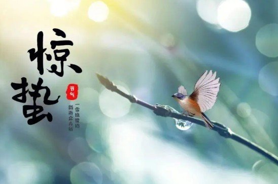 惊蛰春雷响,农夫闲转忙的意思