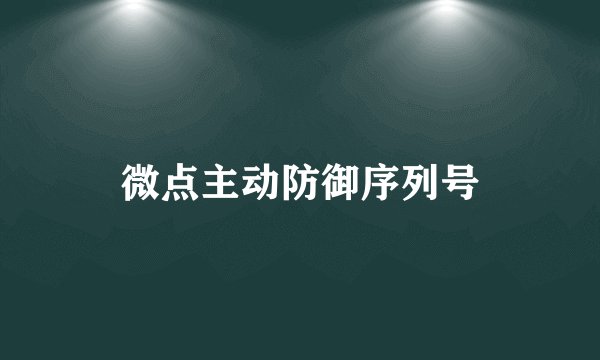微点主动防御序列号