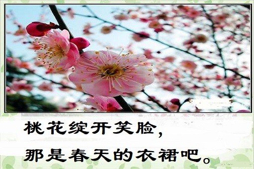 桃花绽开笑脸,那是春天的什么