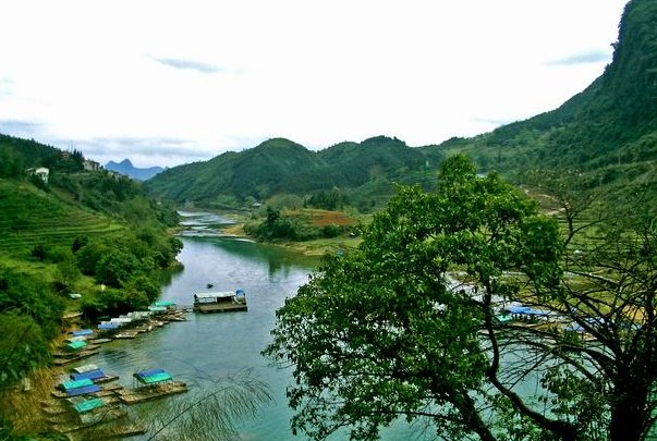 一衣带水是什么动物