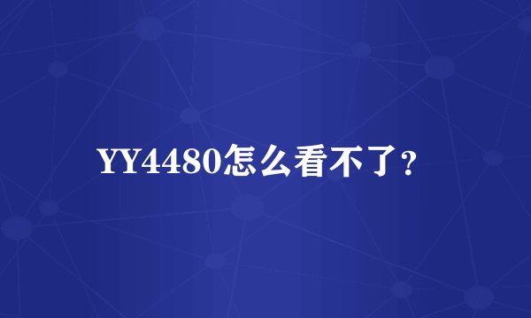 YY4480怎么看不了？