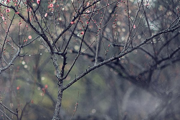 描写丝丝细雨的诗句